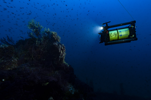 Sony Plays Major Role in Oceanographic Sustainability Research